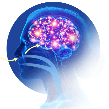 How Does The Memory Breath Work